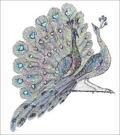 Glen Thistlewood's Peacock Design