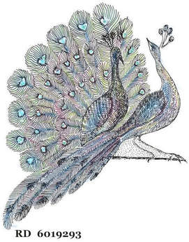 Peacocks Registered Design