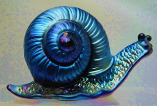 Favrene snail